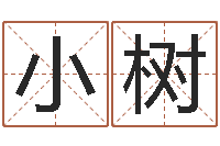 毛小树商务公司取名-科技公司取名