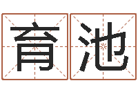 白育池免费塔罗牌爱情算命-手机算命软件下载