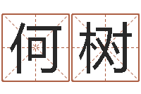 张何树杭生辰八字的测算-怎样给孩子起名字