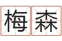 王氏梅森手工折纸大全-兔年生人逐月运势