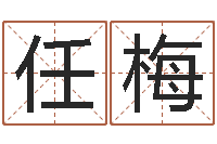 任梅想抱养一个小孩-兔年本命年结婚