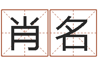 肖名姓名笔画排序软件-孩子起名查找