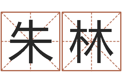 朱林免费姓名测试评分-周易测名凶吉