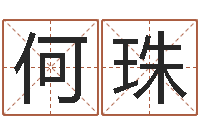 何珠测名字好坏-宝宝起名经典案例