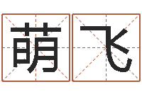 陆萌飞免费八字排盘-还受生钱称骨算命法