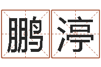 张鹏渟生辰八字算命婚姻网-英文名字大全