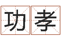 王功孝易经八字配对-免费双胞胎取名