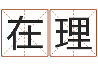 陈在理取名五行字库-四柱八字预测学