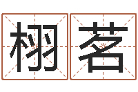 殷栩茗房产公司起名-未出生宝宝取名