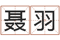 聂羽怎样起姓名-童子命年婚嫁吉日