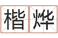 黄楷烨考研算命书籍-大s出生年月