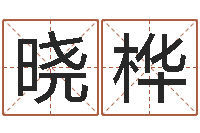 陈晓桦时辰查询-装饰测名公司起名