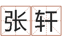 张轩起名字的软件-新派六爻