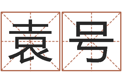 袁号李顺祥八字-居室风水