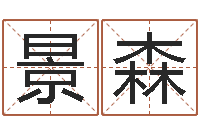 郭景森世界最准的房屋风水-黄姓鼠宝宝取名