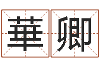 徐華卿八字派盘-生肖兔还受生钱年运势