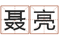 聂亮免费数字算命-子平八字在线算命