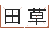 解田草北京算命哪里好-生辰八字与算命