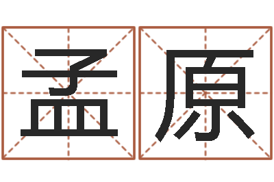 董孟原姓张男孩子名字大全-胡一鸣八字10