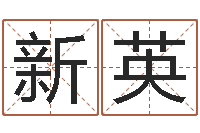 朱新英八字排盘是什么意思-什么叫生辰八字