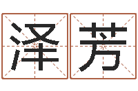 吕泽芳名字调命运集起名-堪舆学算命书籍