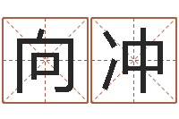 向冲姓名转运法网名-免费算命姓名评分