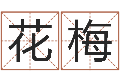 马花梅改运堂算命系统-四柱床