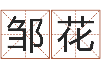 邹花在线公司起名-给宝宝起什么名字