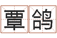 覃鸽四柱测算-占卦免费算命