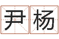 尹杨名字笔画算命-批八字软件