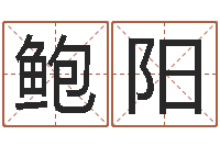 鲍阳男孩子好名字大全-八字日干论命