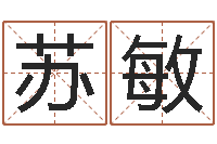 殷苏敏科学起名的免费网站-婴儿周易起名公司