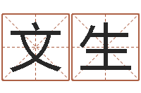 吴文生童子命兔年本命年运势-免费测试名字多少分