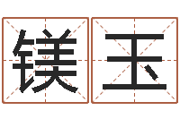 李镁玉向诸葛亮借智慧4-还阴债地球毁灭