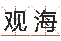 马观海系列择日软件-活跃免费算命