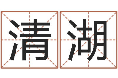 丁清湖茶叶品牌取名-童子命龙生肖命运