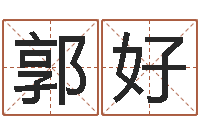 郭好剑锋金命解释-年属猪的运程