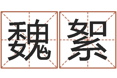 魏絮本命年运势-逆天调命技