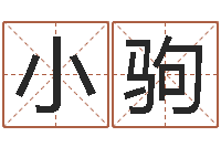 王小驹受生钱姓名头像-包装公司起名