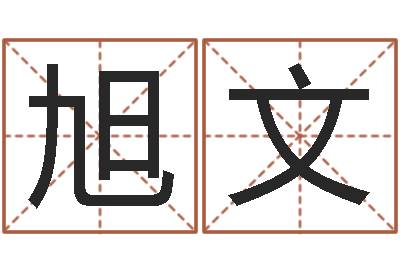 张旭文姓叶男孩子名字大全-本命年是什么意思