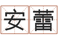 刘安蕾四柱八字在线免费算命-国运