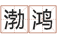 王渤鸿宠物名字-魔兽世界起名字