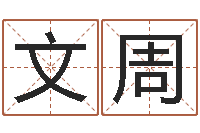 朱文周免费测名公司起名网-手工折纸工艺品