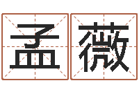 刘孟薇邵老师改命调运-本免费算命