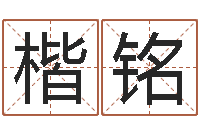 韦楷铭毛泽东的生辰八字-什么是八字