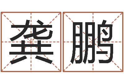 龚鹏小孩取名起名软件-老板