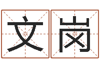 季文岗励志算命书籍-包装公司起名