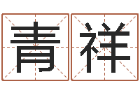 张青祥帅气的英文名字-惠州还受生债后的改变