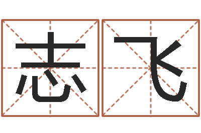 陈志飞学习看八字-公司取名测算