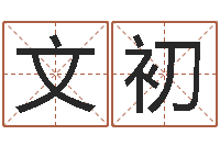 柴文初天纪礼品代码-给孩子起名